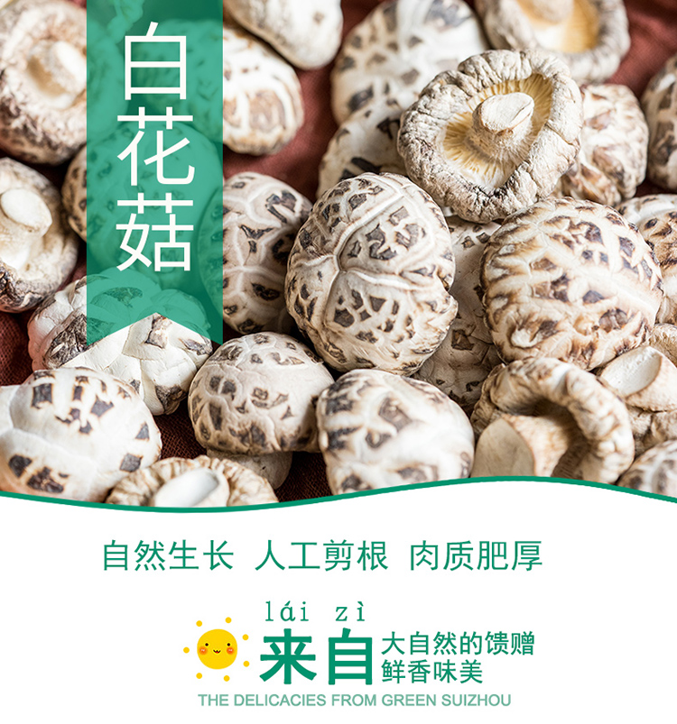 楚品源罐装白花菇干香菇180g 2 图片价格品牌报价 京东