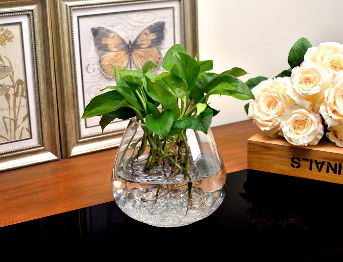 北园湖鱼缸玻璃花瓶圆形水培金鱼乌龟缸水培植物器皿高款鱼缸