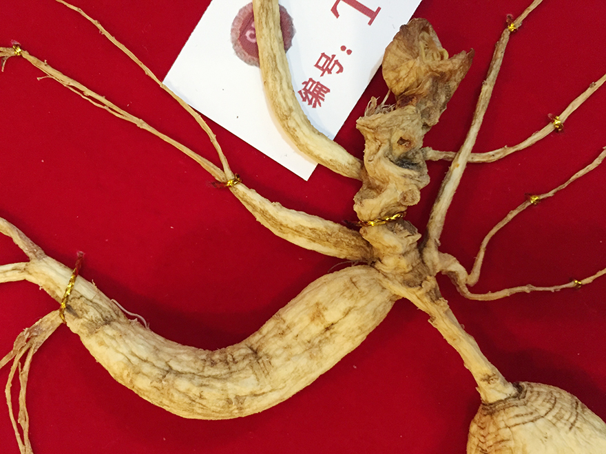 国检特等双生参 豪华臻品 长白山野山参 编号td670008