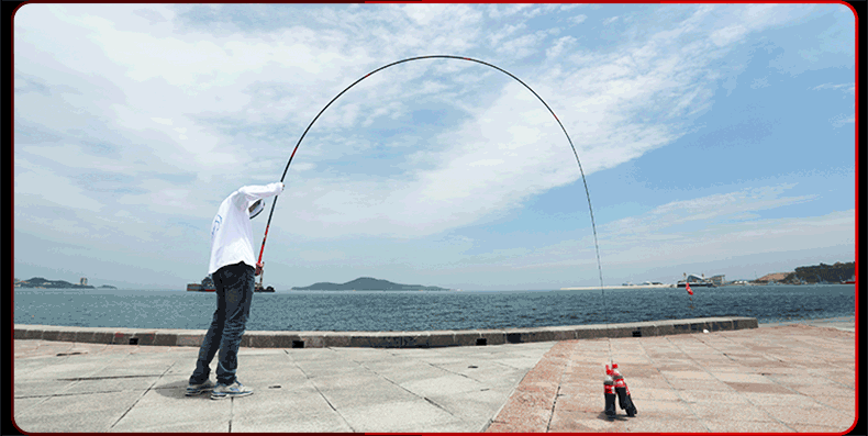 光威鱼竿战鳍钓鱼竿碳素长节鱼杆超轻超硬台钓竿垂钓用品渔具钓具 3.