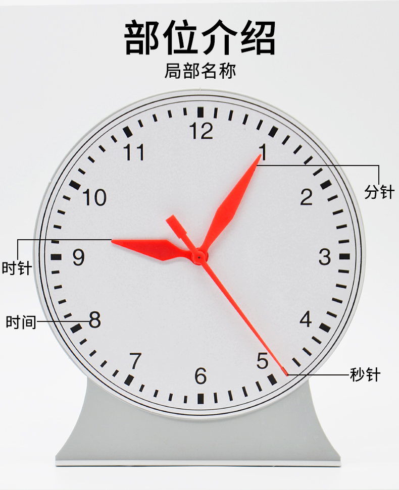 醉米钟表模型三针联动非联动12小时24小时制大号老师演示学生用