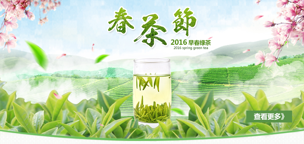 【2016新茶】重庆茶业集团 定心智库138g 绿茶