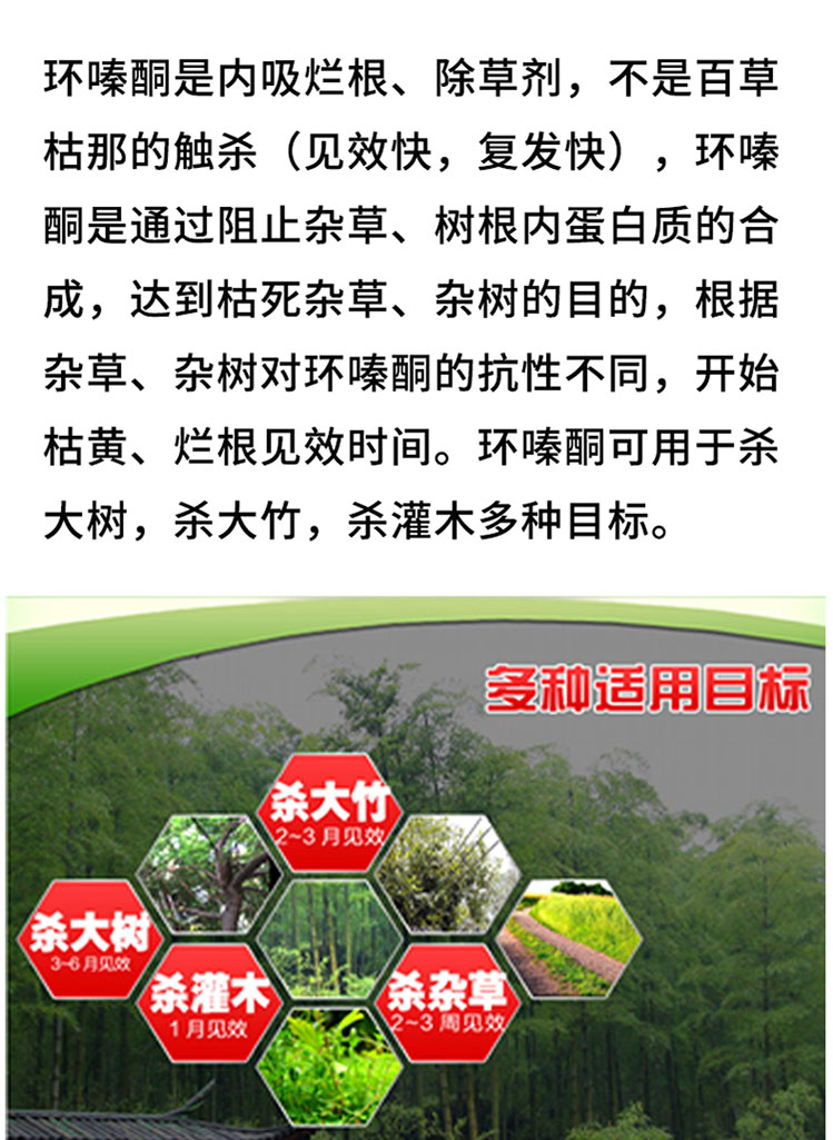 蓝丰环嗪酮杀竹子杀大树除草神剂杂竹净除树剂屠竹子烂根灭灌灭助环嗪