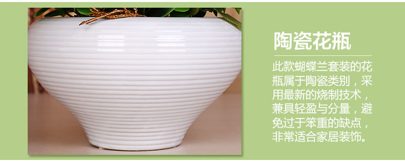 上善若水（sanstyle）仿真花套装蝴蝶兰装饰摆件假花绢花客厅家居饰品整体花艺7024 玫红色 蝴蝶兰