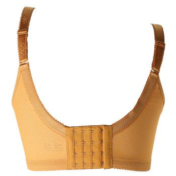 戴芝蒂(diztie)性感深v聚拢内衣调整型文胸收副乳四排扣中模杯胸罩c