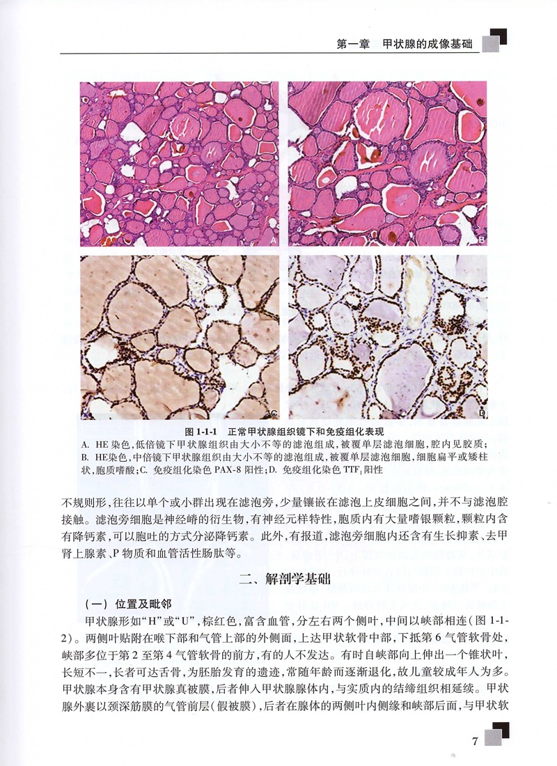 正版现货 甲状腺及甲状旁腺病变影像比较诊断学 韩志江