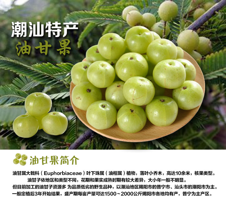 广东新鲜采摘油甘果油柑果余甘果牛甘果500g