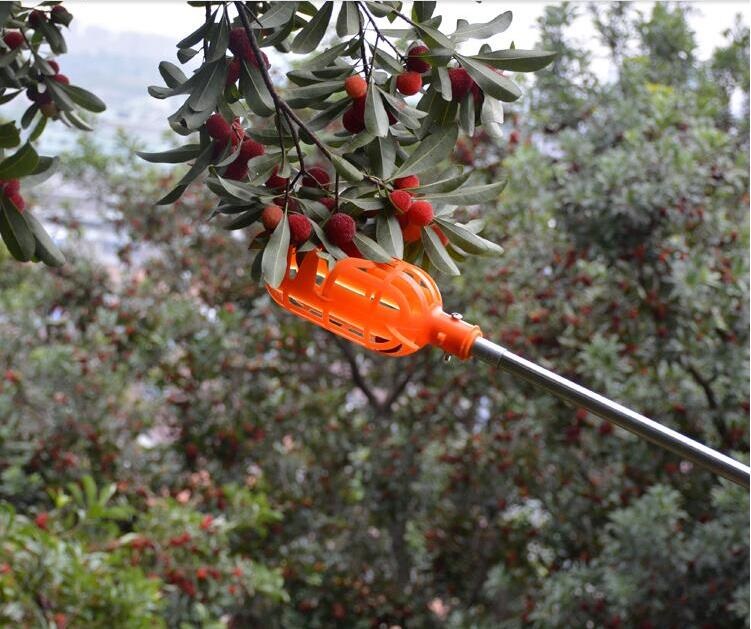 江影清 高空采摘器 可伸缩2-7米杆摘果器摘杨梅神器采枇杷樱桃李子