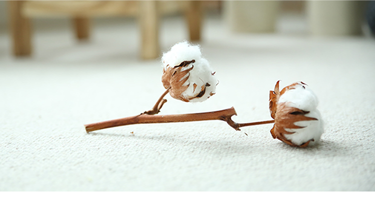 三枪 迪茨 男童儿童香芋蓝舒肤弹力棉圆领长袖内衣套 29185d0 香芋蓝