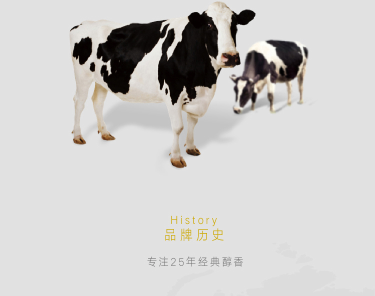 荷兰乳牛 高钙营养奶粉 400g