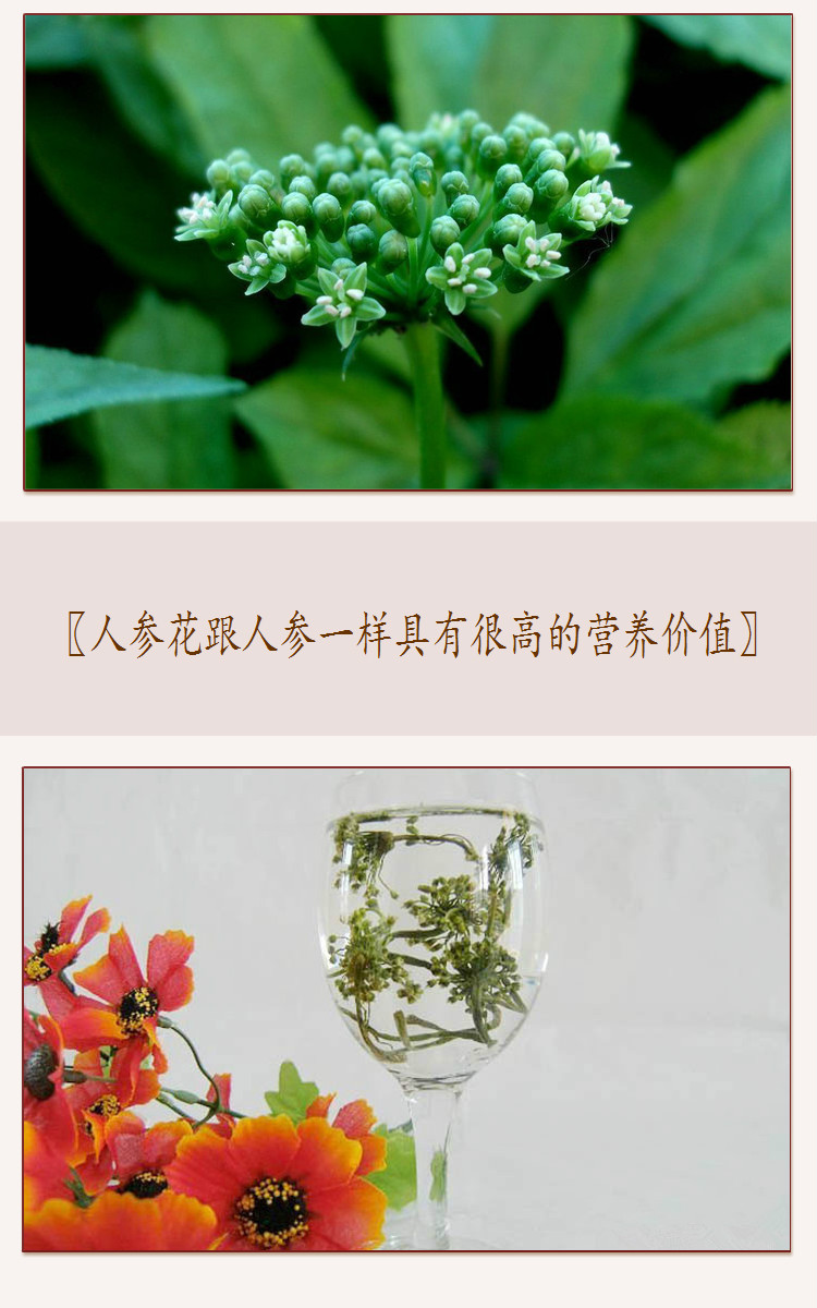 【回客多】長白山人參花 參花蕾茶人參花茶新貨50克 東北特產