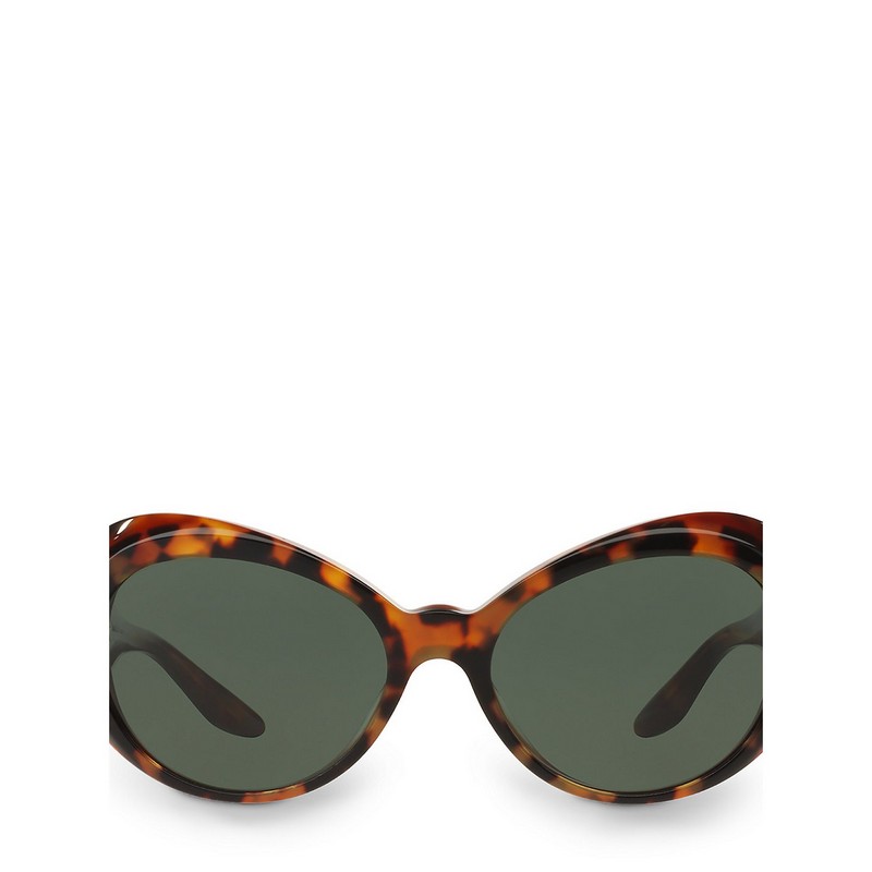 拉夫·劳伦(polo)女士太阳眼镜 蝶形 醋纤 玳瑁色 /87370096