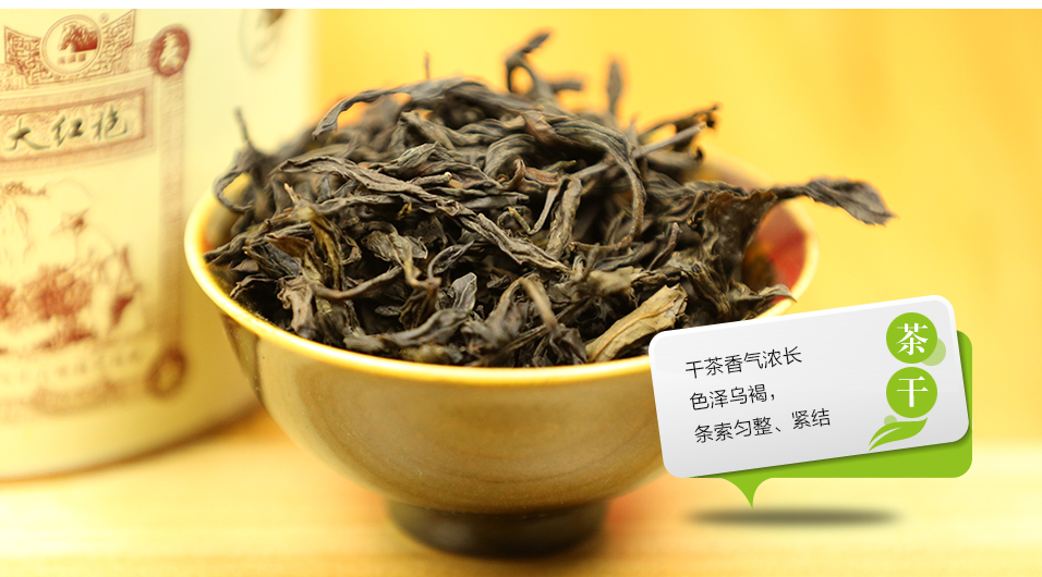 茶叶小苗价格多少钱一斤