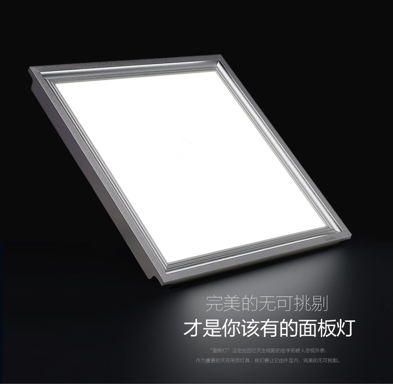 立莱leelite  嵌入式LED面板灯超薄集成吊顶灯300*300/600平板厨卫灯 20W/300x600 暖白光4000K