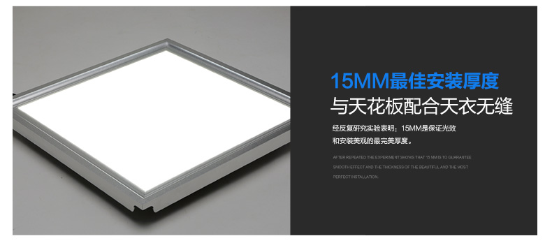 立莱leelite  嵌入式LED面板灯超薄集成吊顶灯300*300/600平板厨卫灯 20W/300x600 暖白光4000K