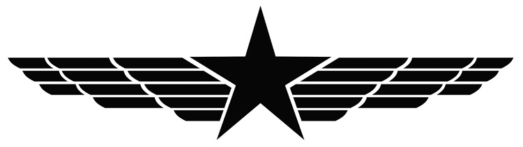 洛玛(lma)汽车用品五角星二战德国个性车门贴纸拉花改装装饰车身车贴