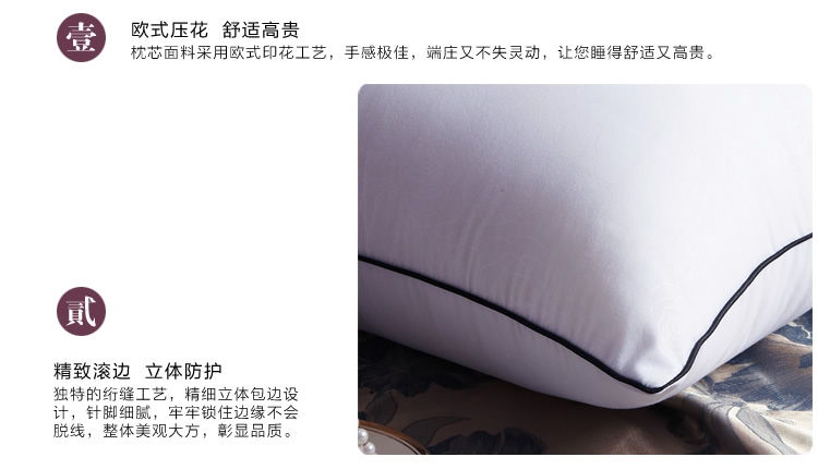 
                                        买一送一 俞兆林高回弹羽丝绒枕头单双人枕头芯  买枕芯送全棉枕套 送艾琳娜-蓝枕套1只 74/45/20cm                