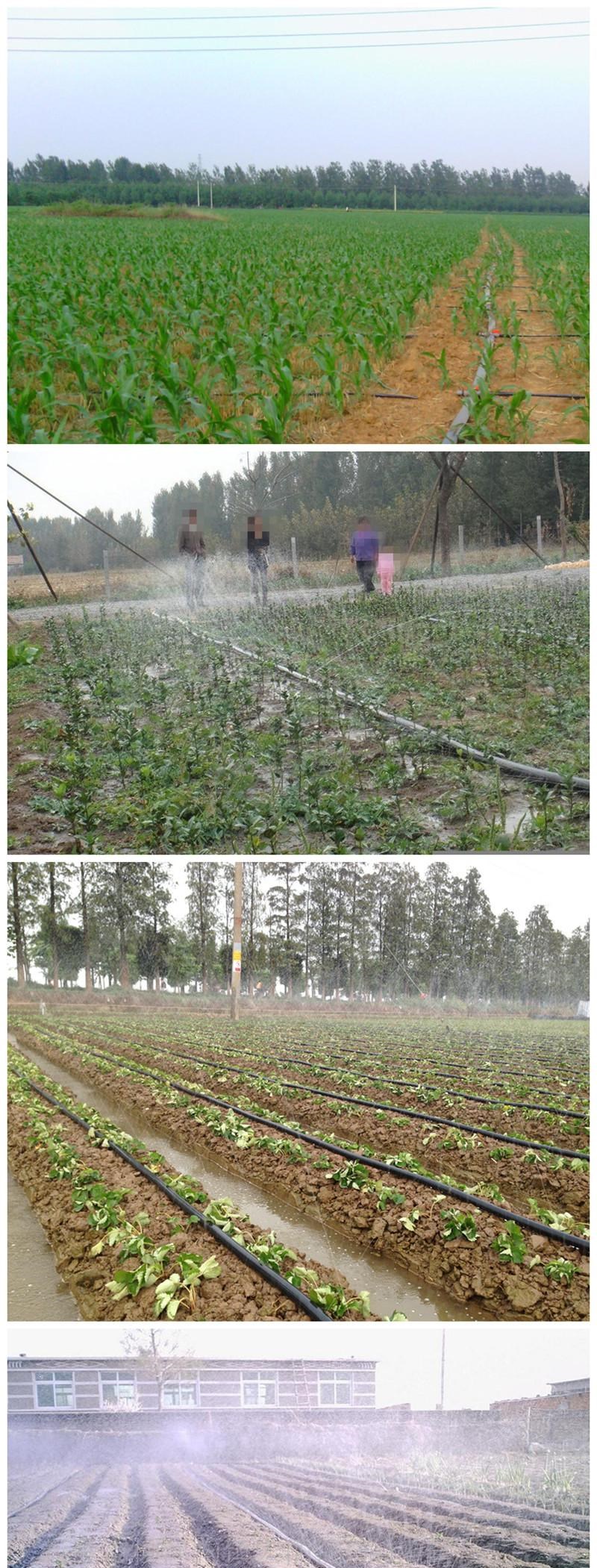 逍遙澆水管微噴帶滴灌帶滴管帶霧管節水噴灌帶微噴管黑色灌溉管噴水管