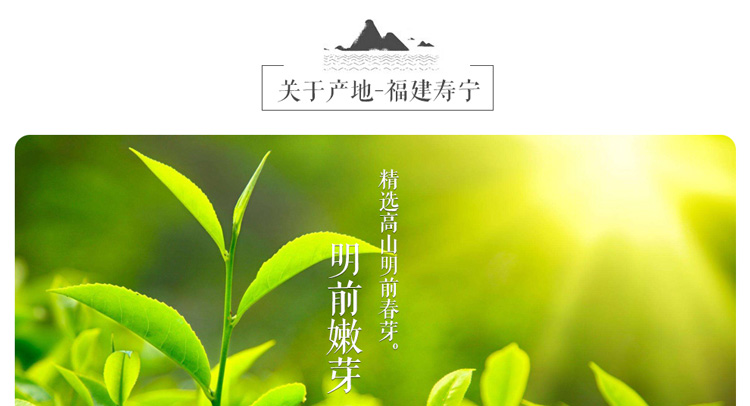 中闽立华茶叶 高山绿茶云雾茶 福建寿宁高山茶250g礼盒2罐装(半斤)