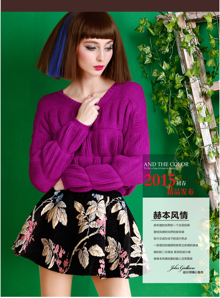 惑色2015秋季新品女装磨毛刺绣半身花裙子短裙打底裙 花色 均码