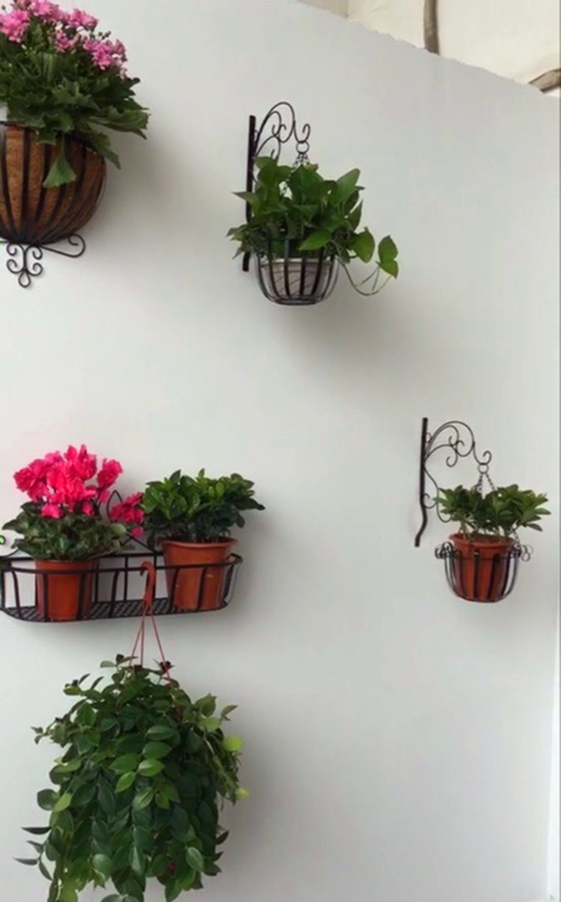 欧式铁艺壁挂花盆架 绿萝壁挂花架挂墙墙上室内阳台悬挂吊兰花架 大号