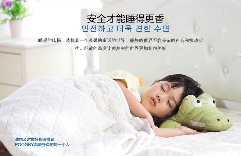 
                                        POOGNY福坤禧 韩国智能水暖毯床垫 电热毯单双人加厚电褥子 PB350CLA—紫色床垫1.8*2米                