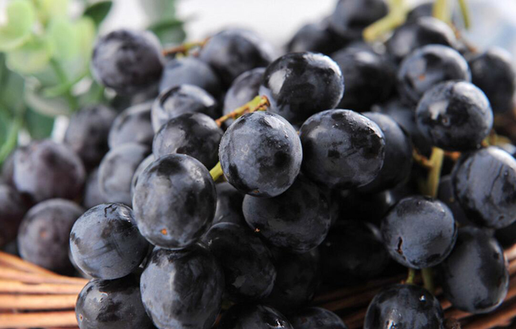 【有检疫证】澳洲无籽黑提1kg 新鲜水果