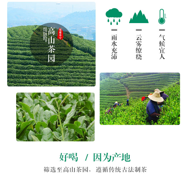 碧螺春福建寿宁高山茶礼盒装共350g(175g*2盒【行情 报价 价格 评测