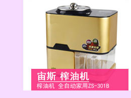 
                                        可仕（COSI) 电蒸锅 不锈钢GY-502 四层                