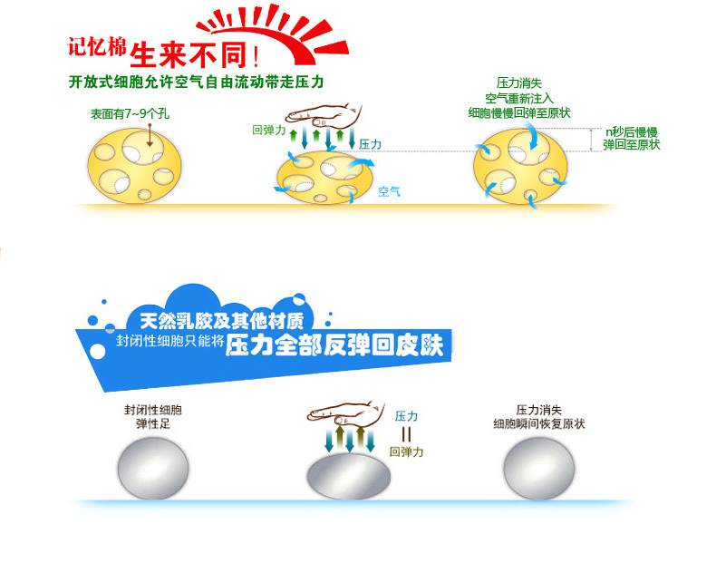 
                                                            Sleep Science美国睡眠科学爱诺黑宝石高密度记忆棉床垫子床褥子 薄垫子 轻奢解压10CM 白色 150*200*10CM                