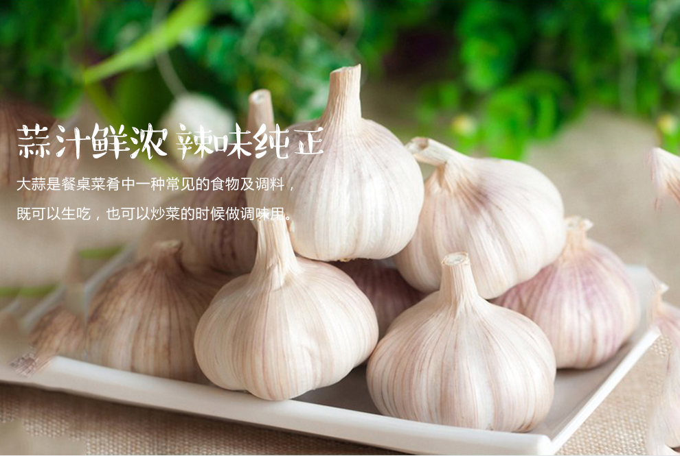 河北 大蒜白蒜 500g