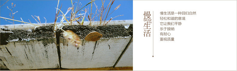 茵曼女装 新款休闲民族绣花碎花拼接棉质长袖T恤女【8440210450】 桔红色 L