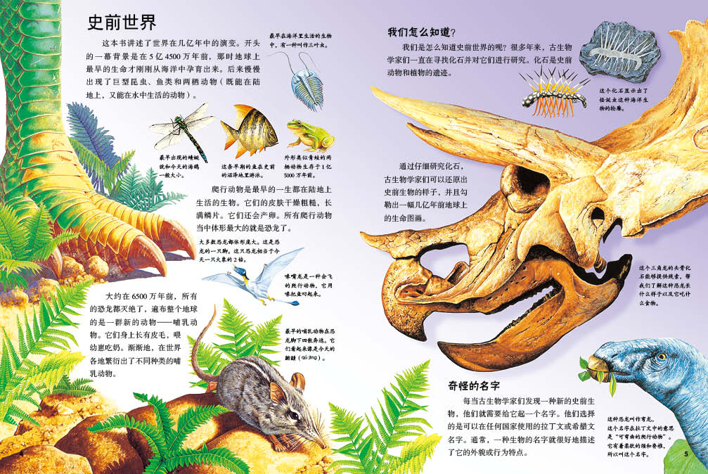 英国儿童全景搜索科普书 生物卷 搜索奇异的环球地貌 幼儿百科书3-6岁