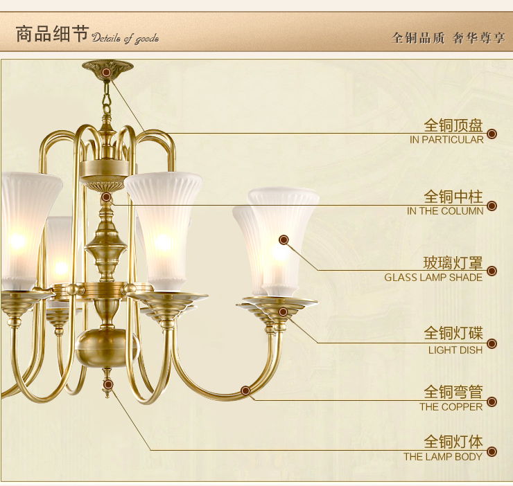 蒙特丽 客餐厅卧室吊灯 TDX3 欧式全铜灯具(B) 型号TT62-8头