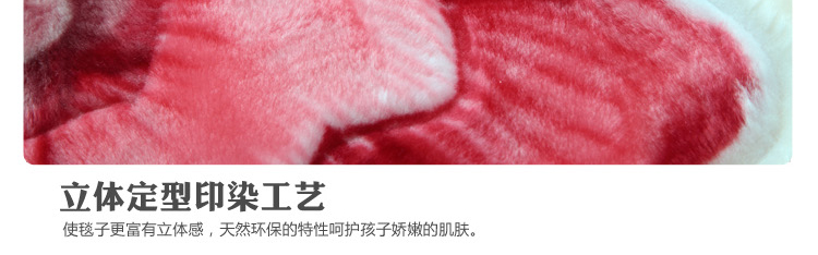 
                                        同多宝家纺床品拉舍尔双层毛毯/加厚绒毯 单双人毛毯毛巾被 凤凰花开驼色 180*230cm3kg                