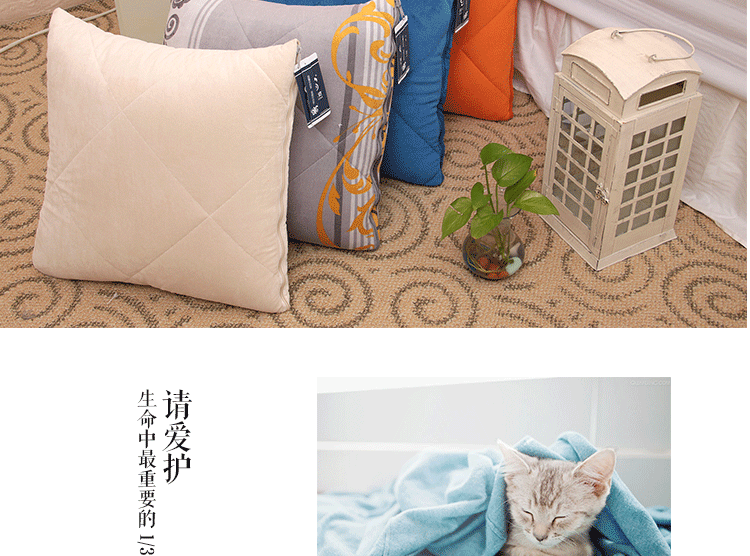 
                                        天绫家纺 两用午睡被车用靠垫抱枕被子 双面加厚天鹅绒  45*45/135*200cm 蓝色 45*45/135*200cm                