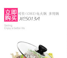 
                                        可仕（COSI) 电蒸锅 不锈钢GY-502 四层                