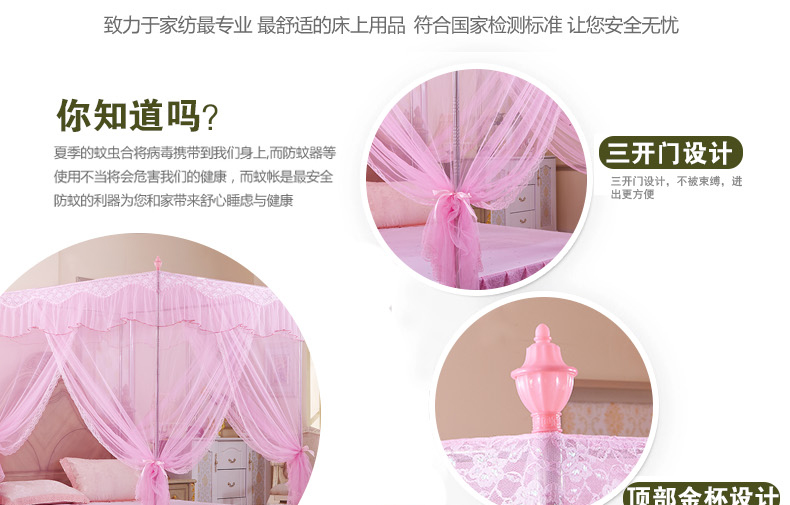 
                                        梦飘飘家纺  蚊帐三开门不锈钢加粗加厚支架落地式宫廷方顶公主蚊帐 心相印-紫色 2.0m床适用                