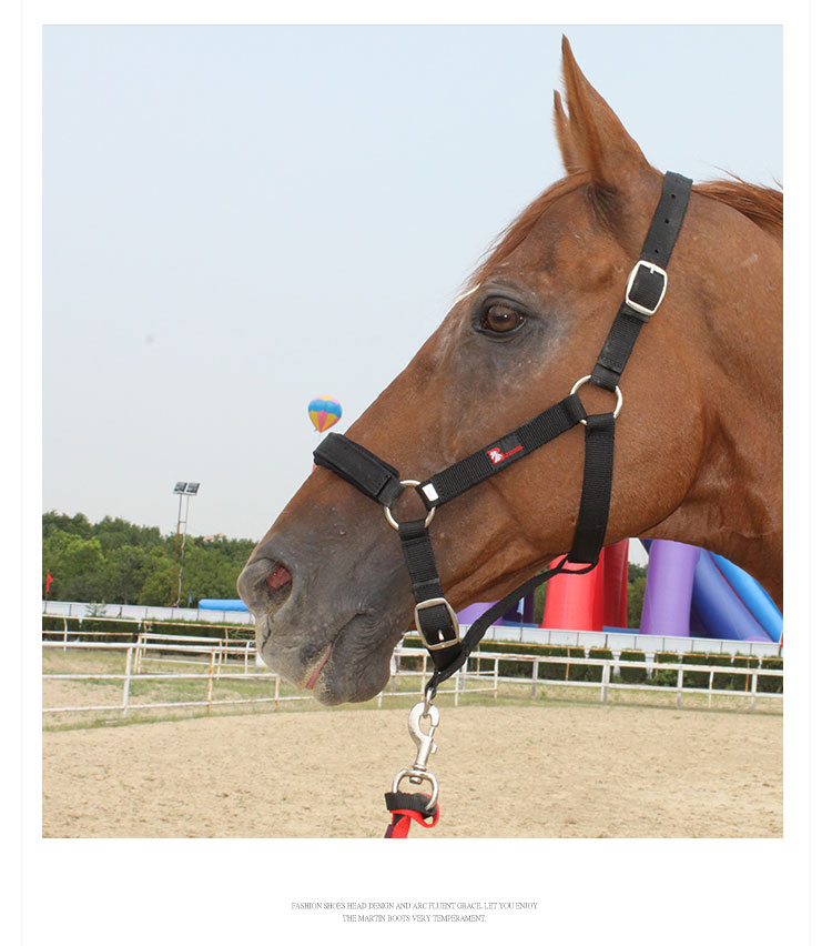 八尺龙马具 马匹牵马笼头 纺织结实耐用 大小可调节 不伤马 bcl328505