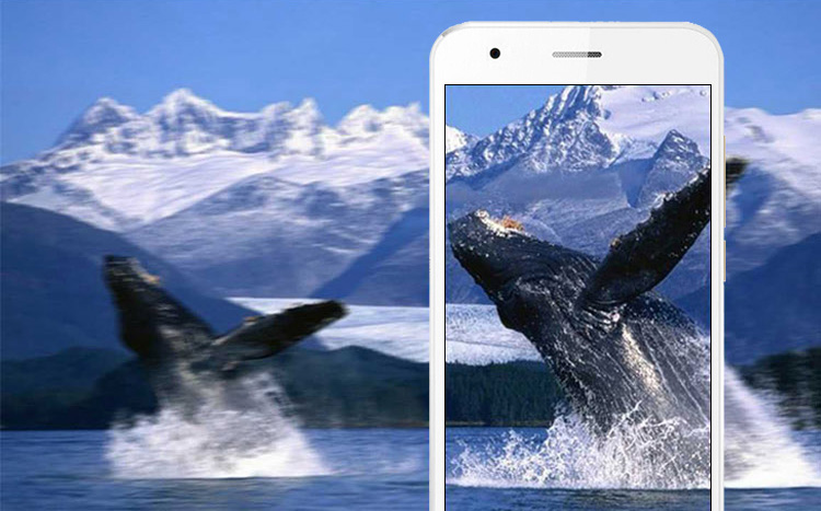 乐丰lephonet10216g移动4g智能老人手机双卡双待白色芒果版216g