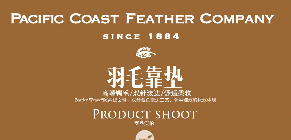 美国Pacific Coast/派赛菲特 抱枕芯 靠垫芯 五星级酒店 美式羽毛靠垫抱枕 白色 50cm*50cm
