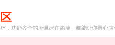 
                                        可仕（COSI) 电蒸锅 不锈钢GY-502 四层                