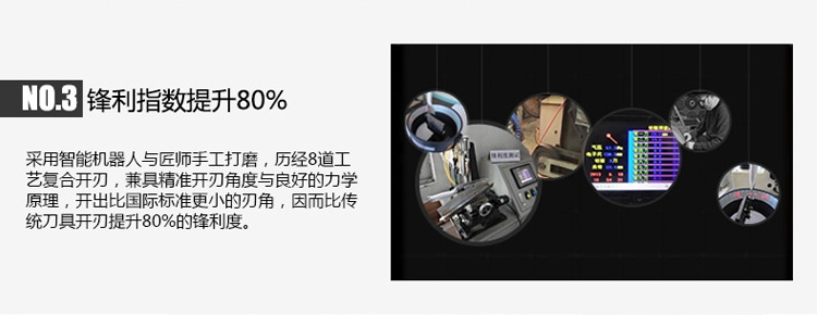德世朗不锈钢切菜刀 德国工艺厨房刀具 厨刀 切肉刀 切片刀 水果刀