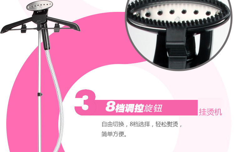 
                                        爱妻 蒸汽挂烫机 家用电熨斗 蓝                