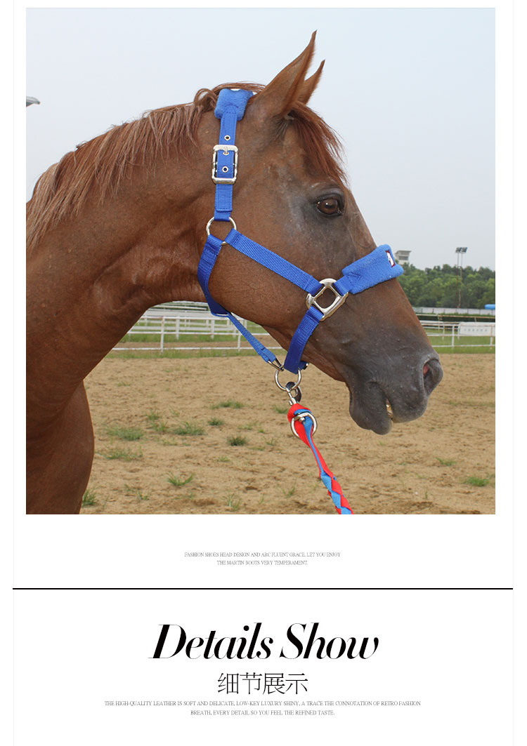 baslong(basong) 八尺龙马具 马匹牵马笼头多色可选大小可调纺织不伤