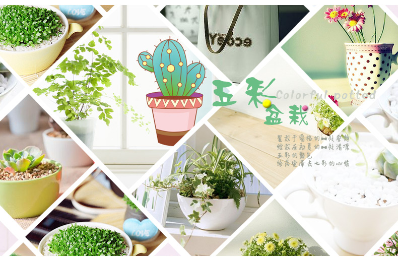五彩盆栽 墙贴画田园过道背景踢脚线墙贴橱窗柜门贴画 冰箱贴玻璃贴纸 6棵盆栽可贴40CM高 大