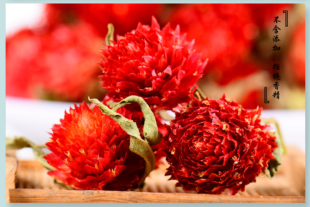 【官方直营】滋真堂(zizhen tang) 滋真堂 红巧梅 千日红 妃子红 花草