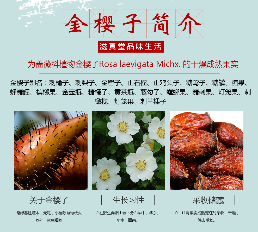 滋真堂 金樱子大别山 干金樱果刺梨泡酒药材男性金英子新鲜 金樱子100