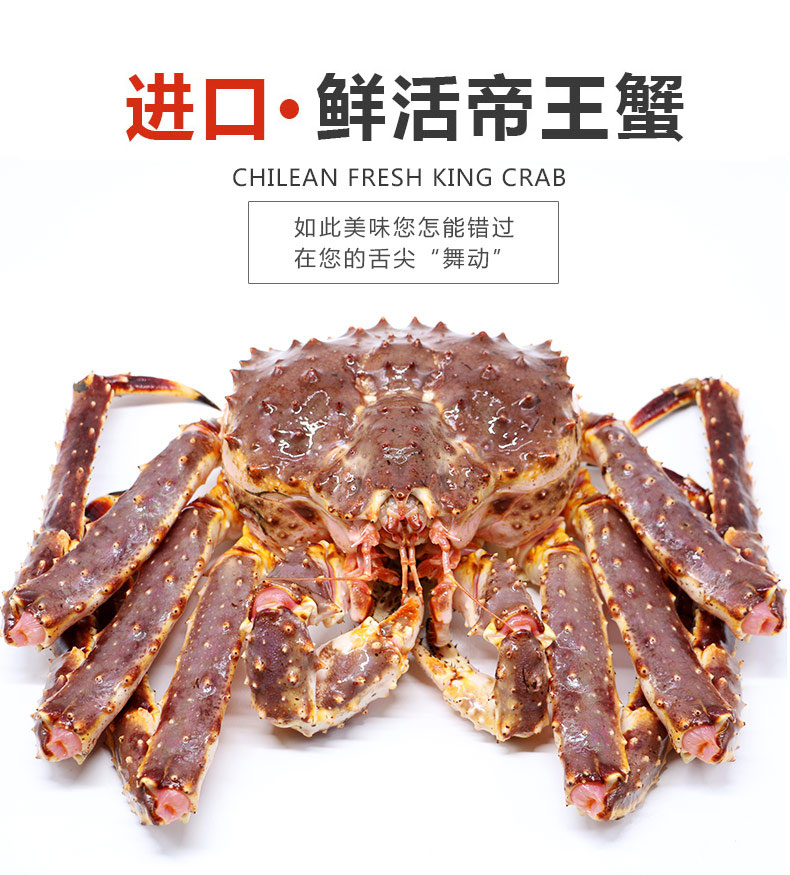 【活鲜】聚福鲜 鲜活阿拉斯加帝王蟹 海鲜年货 3700g 1只