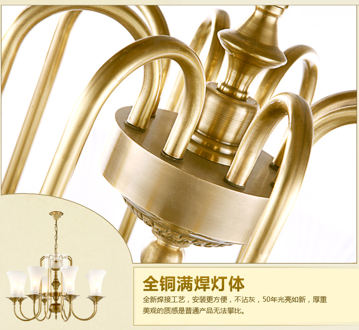 蒙特丽 客餐厅卧室吊灯 TDX3 欧式全铜灯具(B) 型号TT62-8头